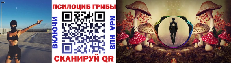 Псилоцибиновые грибы Psilocybine cubensis  mega   Нурлат 