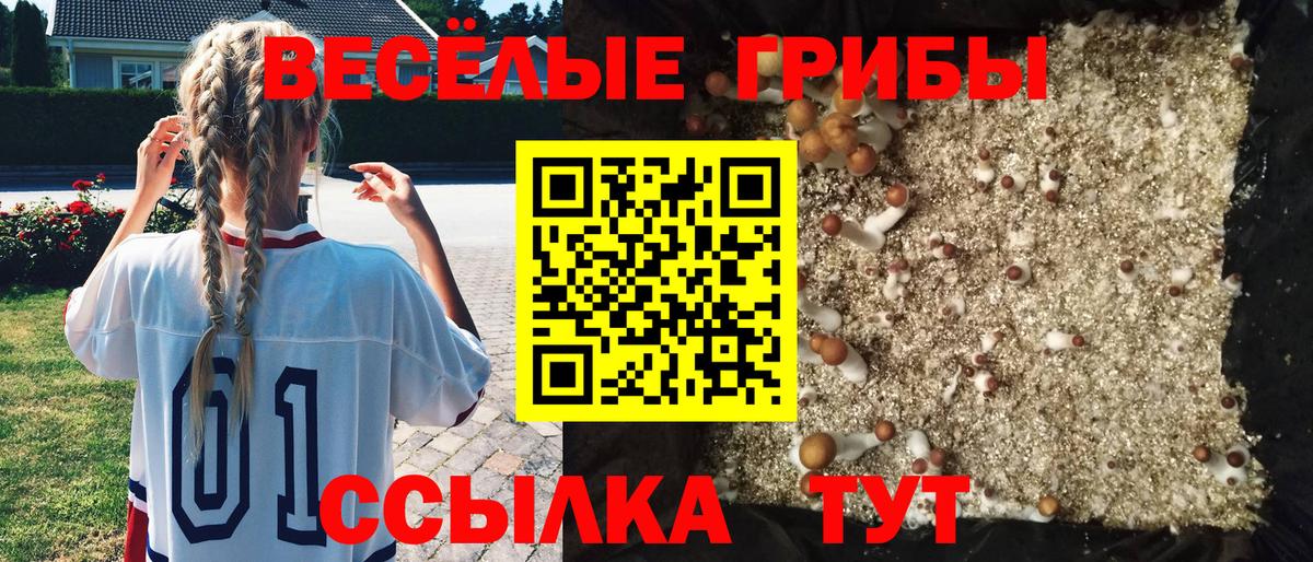 купить закладку  Псилоцибиновые грибы мухоморы  Вход с VPN  Нурлат 